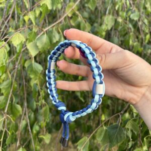 Collier anti-tiques pour chien