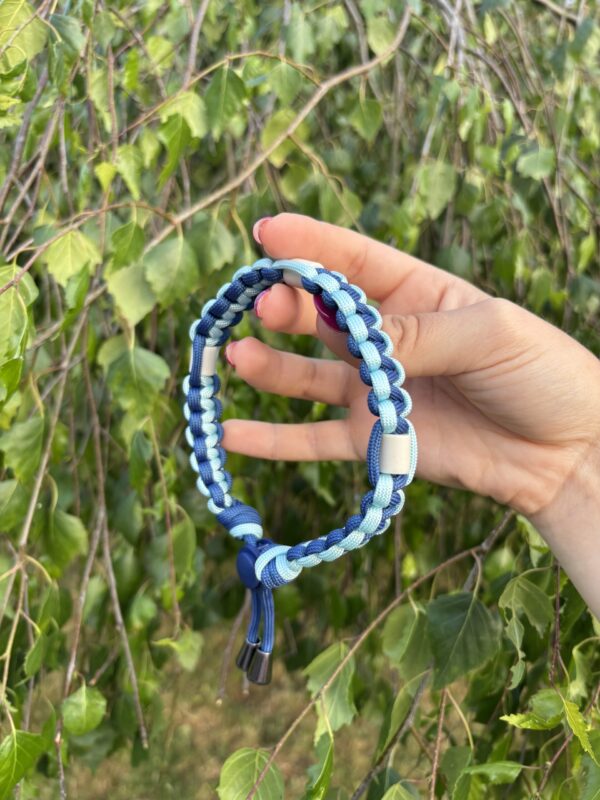 Collier anti-tiques pour chien