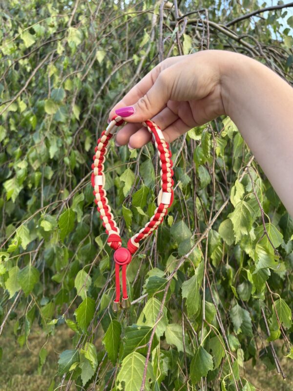 Collier anti-tiques pour chien - Image 3