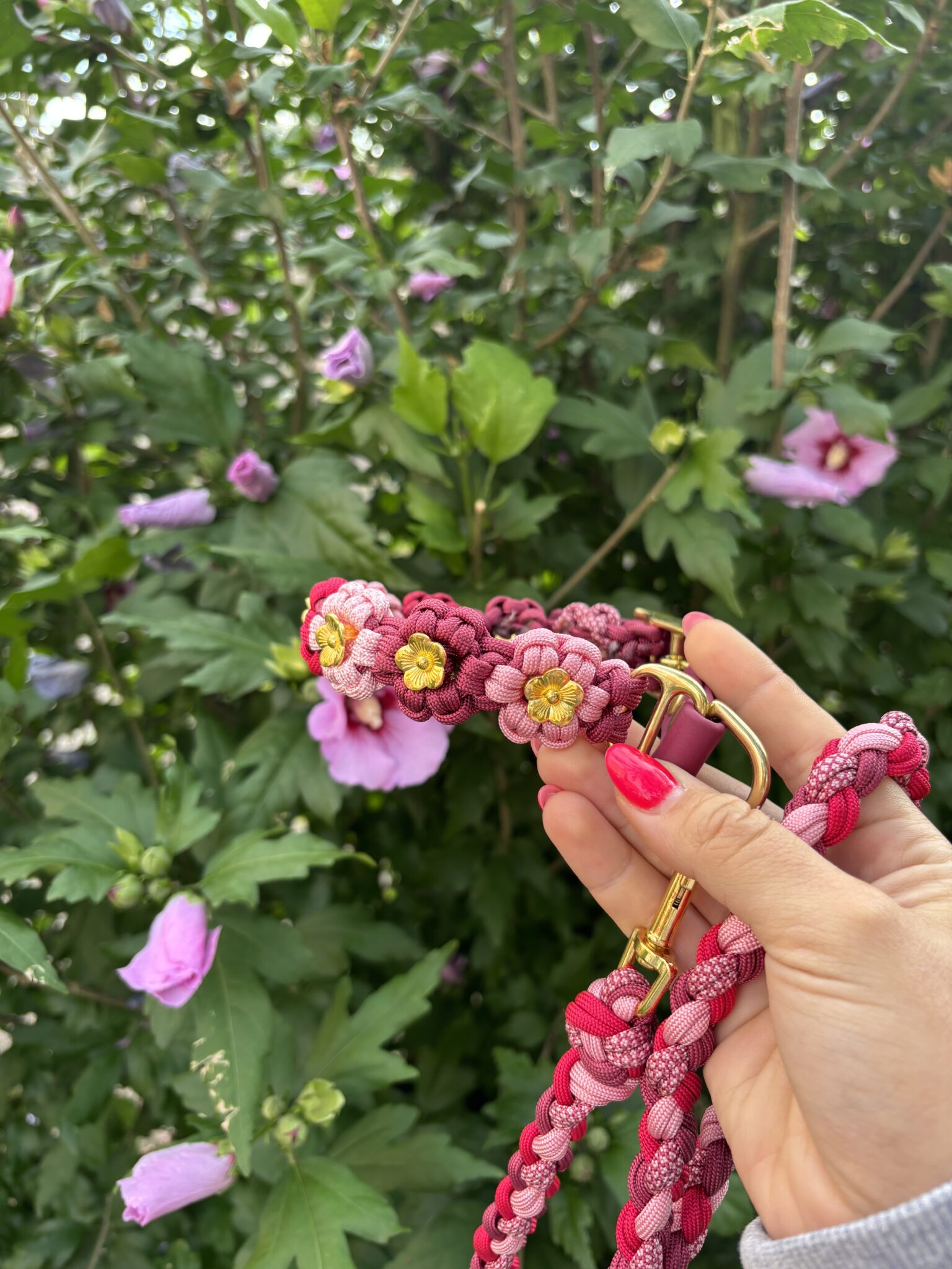 ​Colliers (modèles Flowers &amp; Nova) 