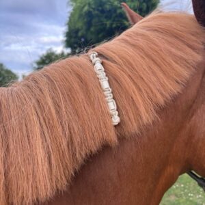 Charme anti-tiques pour chevaux