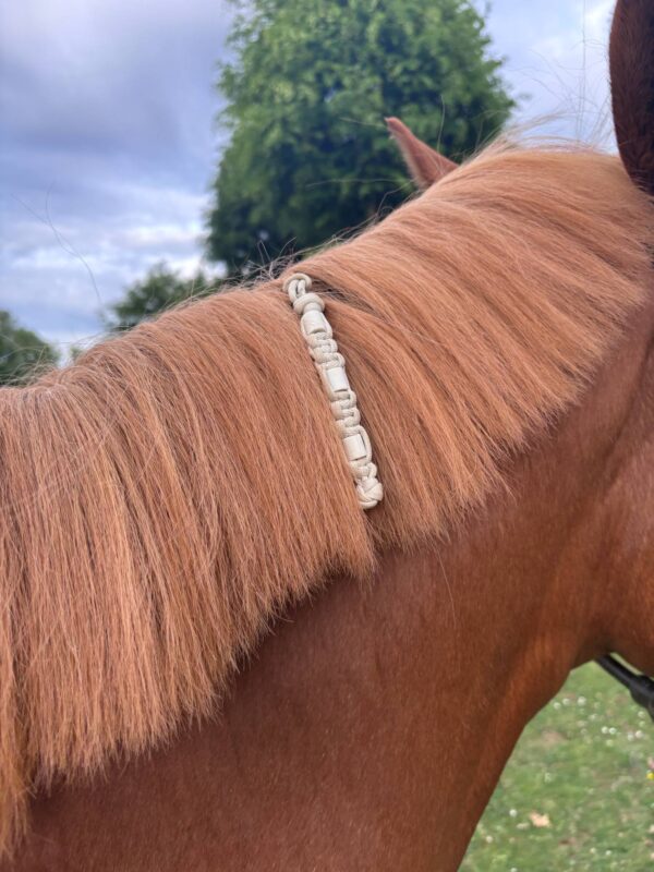 Charme anti-tiques pour chevaux